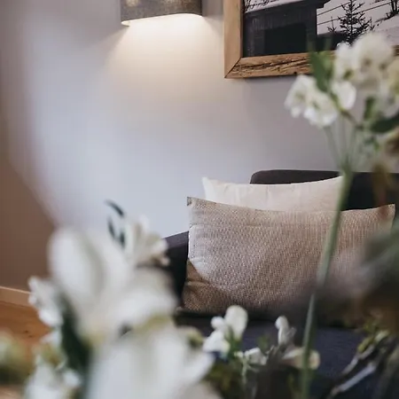 Vaya Paznaun Inklusive Silvretta Card Premium *