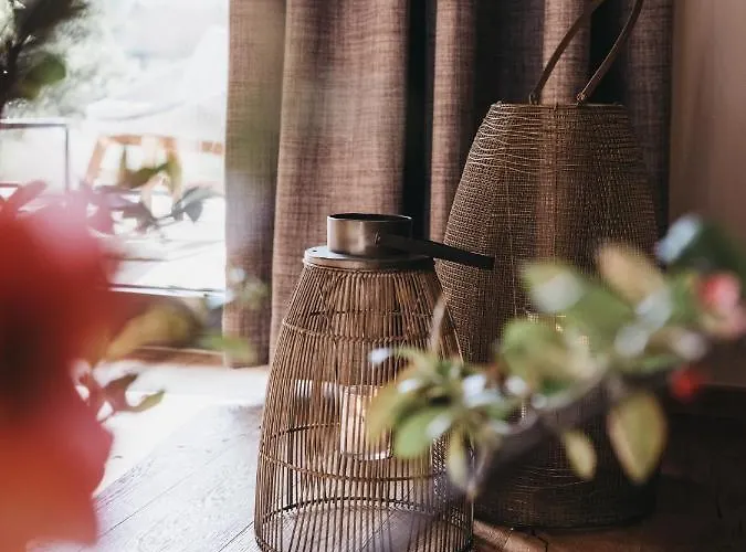 Vaya Paznaun Lejlighed *