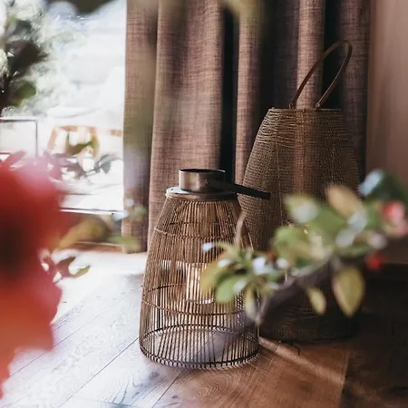 Vaya Paznaun 公寓 *